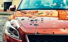 Bird Dropping Damage to Lease Cars